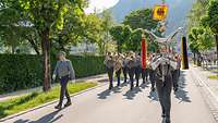 Musikkorps marschiert auf einer Straße.