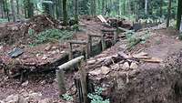 Brachliegende Stellung im Laubwald. Morsche Holzbalken stützen ein Grabensystem. Trümmerteile liegen auf dem Waldboden.